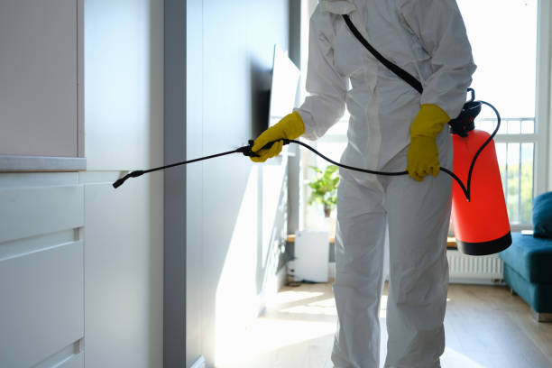 Best Kitchen Mold Remediation in Rutherford, NJ